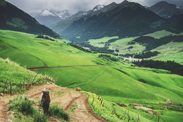 幼女和狗 关键在于家长全程监护