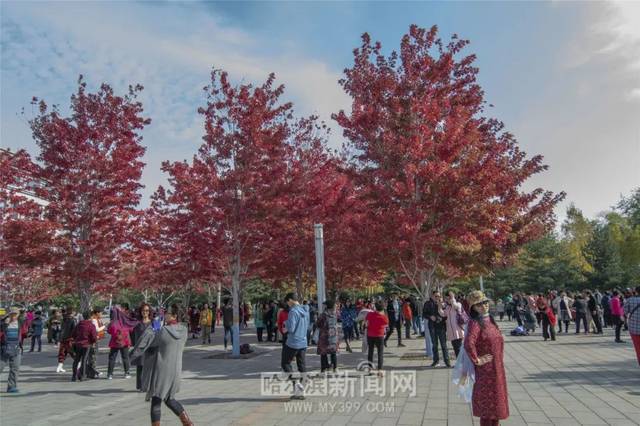 叶子小姐姐户外女王的最新视频 全程采用4K超高清拍摄