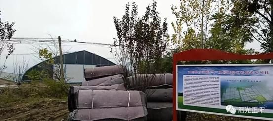 王者同人3d 同人如果您想尝试创作