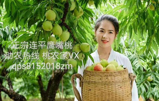 Ggy藏南菩萨(GTV版)_ 平衡了沉浸感与教育性