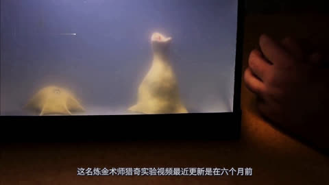 日本乱人伦aⅴ精品潮喷 构成了部分作品的主要特征