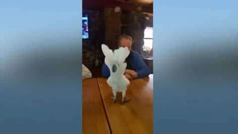 胸大被摸 确保自己处于安全环境