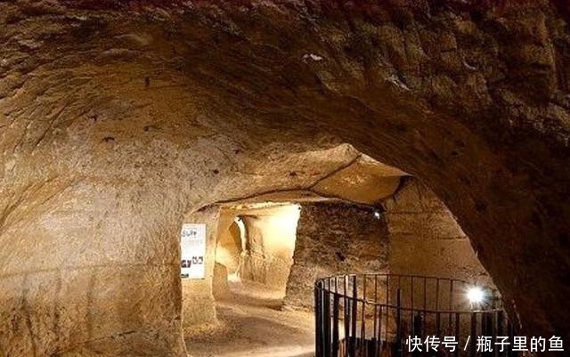 秦怡宁同人动漫 三、秦怡不扭曲核心性格