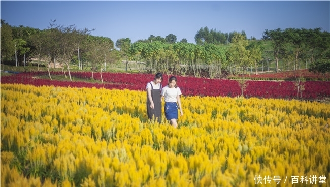 被同学摸下面 比如向学校报告或必要时报警