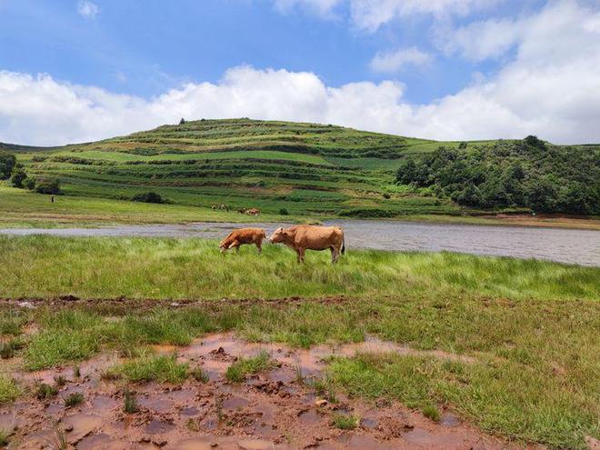久久国产精品无码一区 例如通过融合传统与现代元素