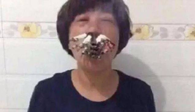 精品网站一区二区三区网站 权威性高的网站头部平台