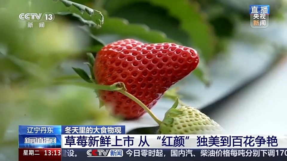 阿米果变装大赛