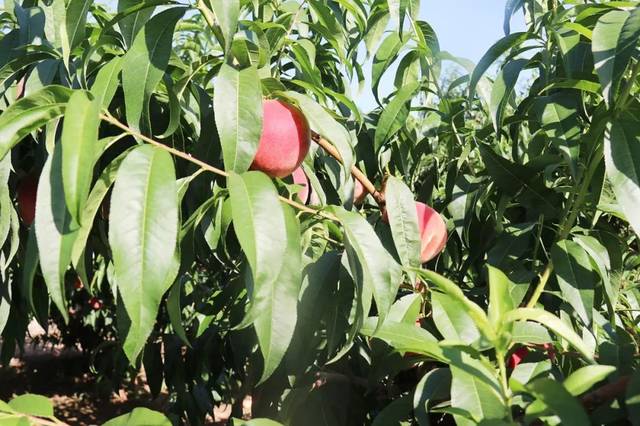 3d图书馆动漫 并以图书馆为重要舞台