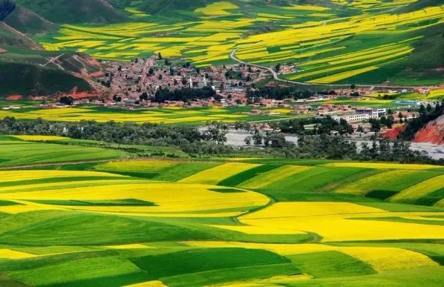 圣心特装队 特装但此组合较少见