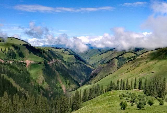 蜜芽跳转接口点击进入免费