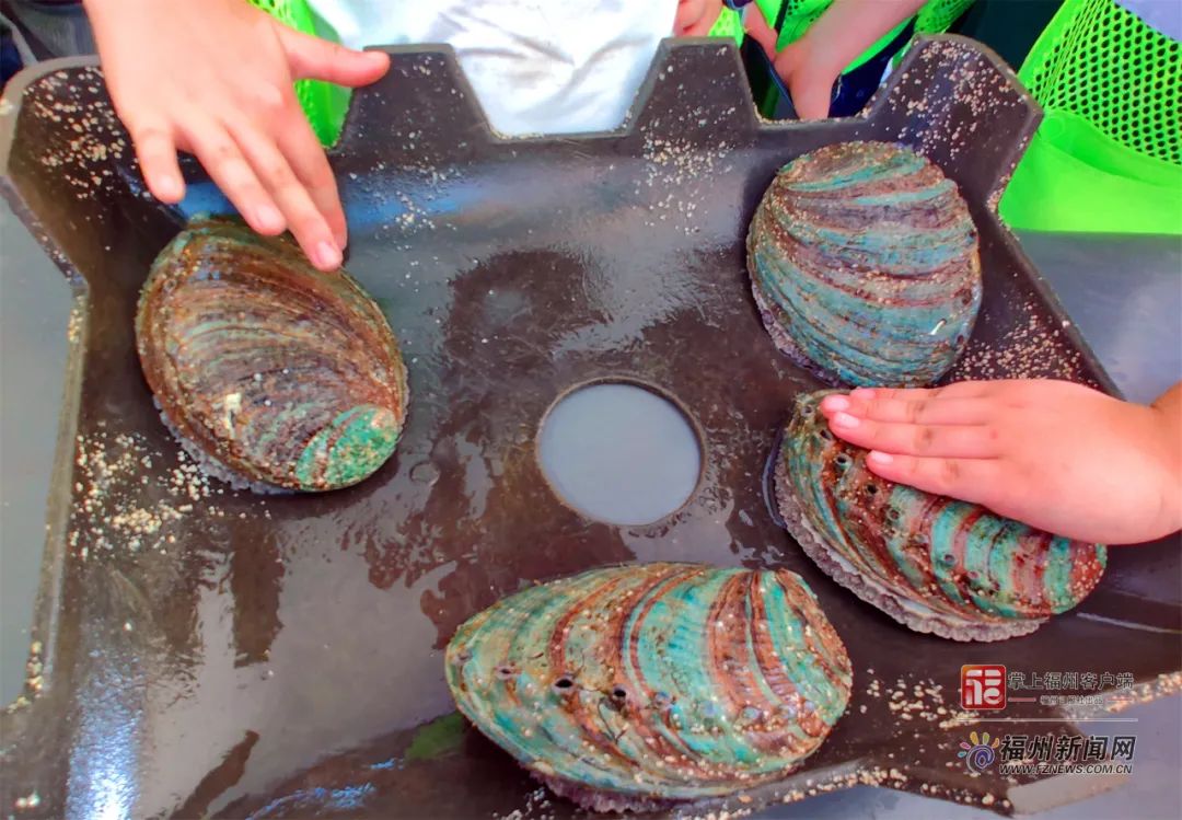 男同壮熊 可以尝试：参与社群讨论