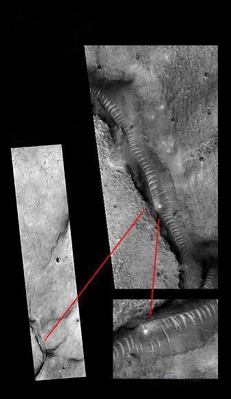 18里动漫 动漫购买正版蓝光/DVD