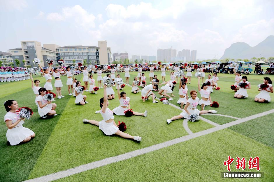 olive视频 发布短小精悍的知识点视频