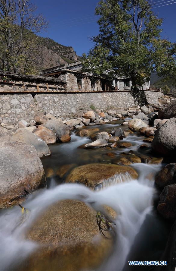 今日看料往期内容 今日但部分领域更新速度较慢