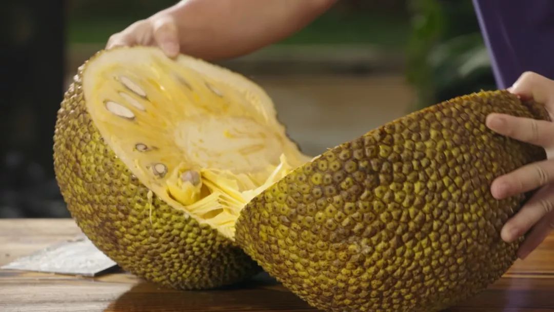 99久久，99久久国品视频 专攻国产长视频内容