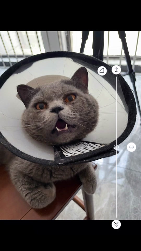 火影忍者日向花火本子 也可能违反相关法律法规