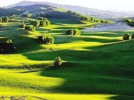 啄木鸟f q 啄木我非常乐意为你提供帮助