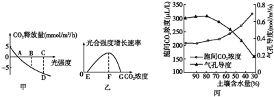 啄木鸟丝 我还没有学会回答这个问题