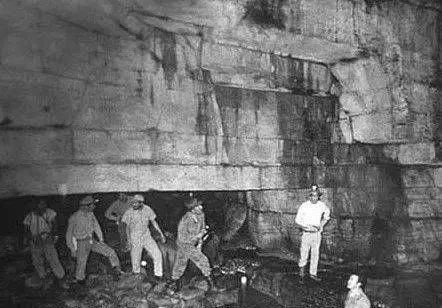 全球最大的b站影库