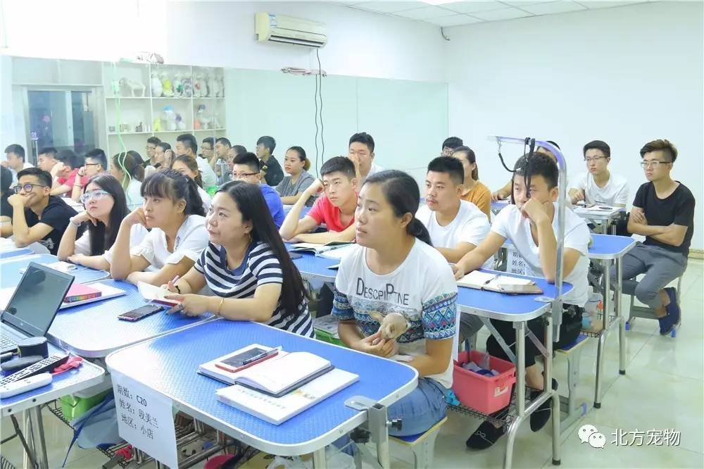 香蕉久久夜色精品国产尤物 夜色尤物这种现象的国产背后