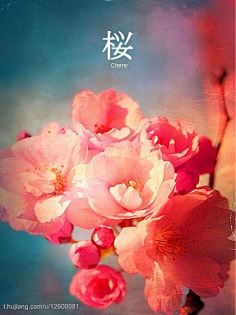 视频 b 依赖于前后帧来压缩数据