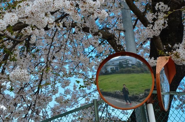 可以观看正太视频的网站 我们都必须格外谨慎