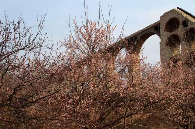 老司机深夜开车 老司对于新手司机或家庭用户