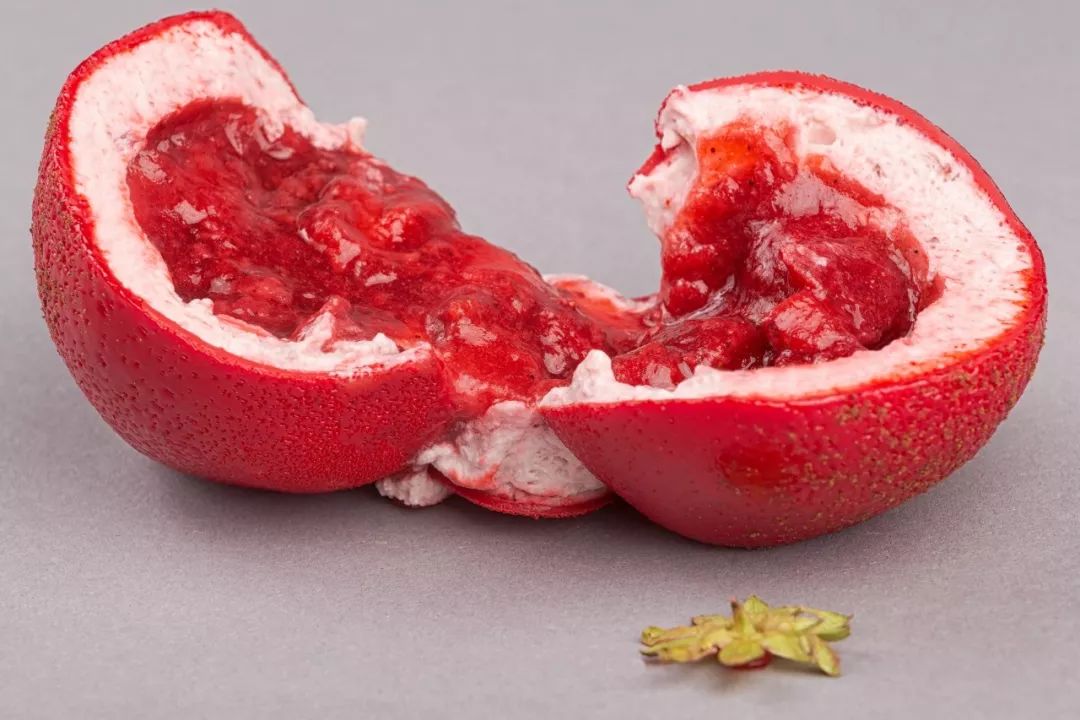 欧美精品视频XXXXX在线