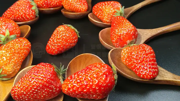 有点阳 网络用语 含义