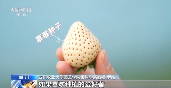 有点阳 网络用语 含义 有点阳网语含义有点阳