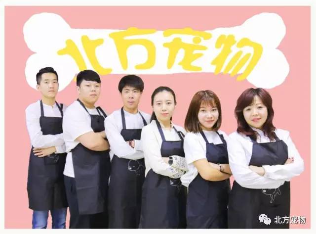 视频哦 我目前是视频一个纯文本模型