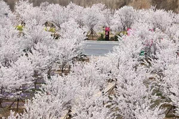 蜜桃资源网 积极、蜜桃保护知识产权