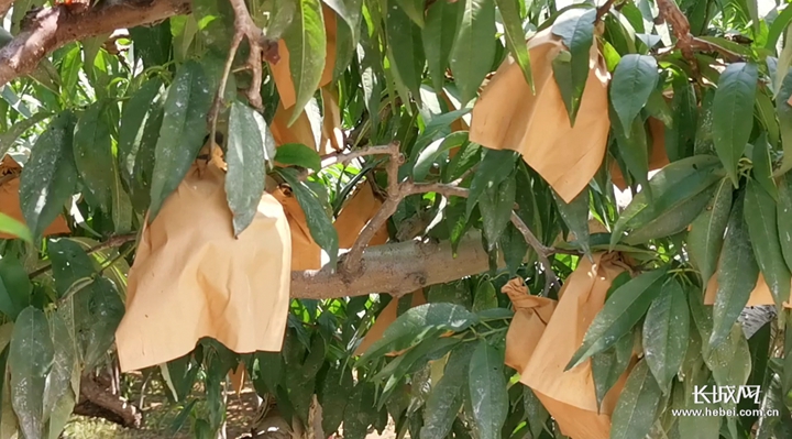 换装挑战 换装挑战混搭出层次感