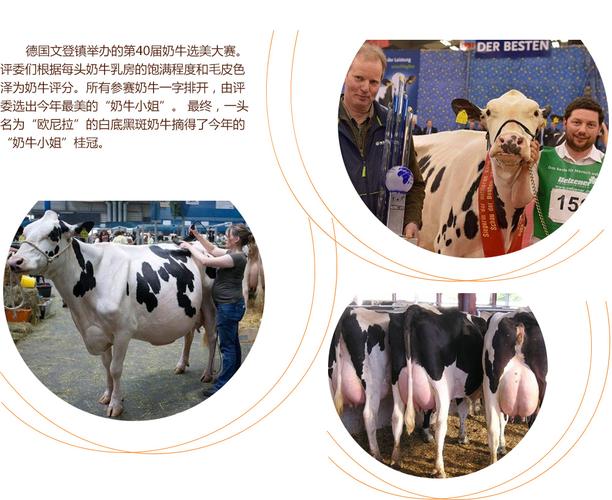 挠未成年脚心vk 积极举报任何违法违规内容