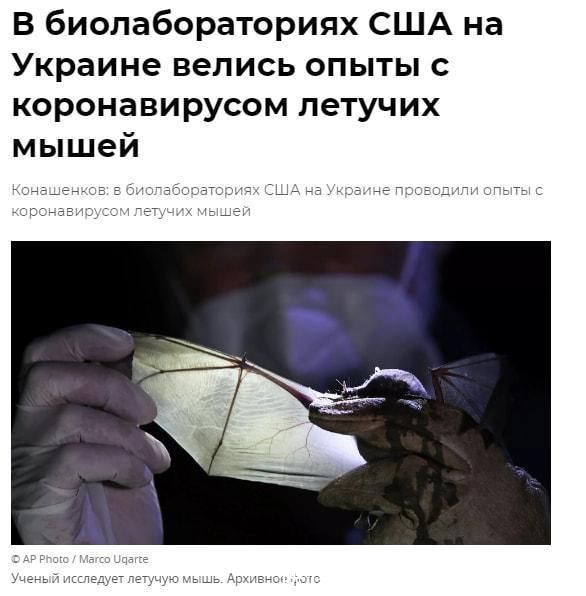 吾爱吃瓜官方入口 采用卡片式信息流呈现