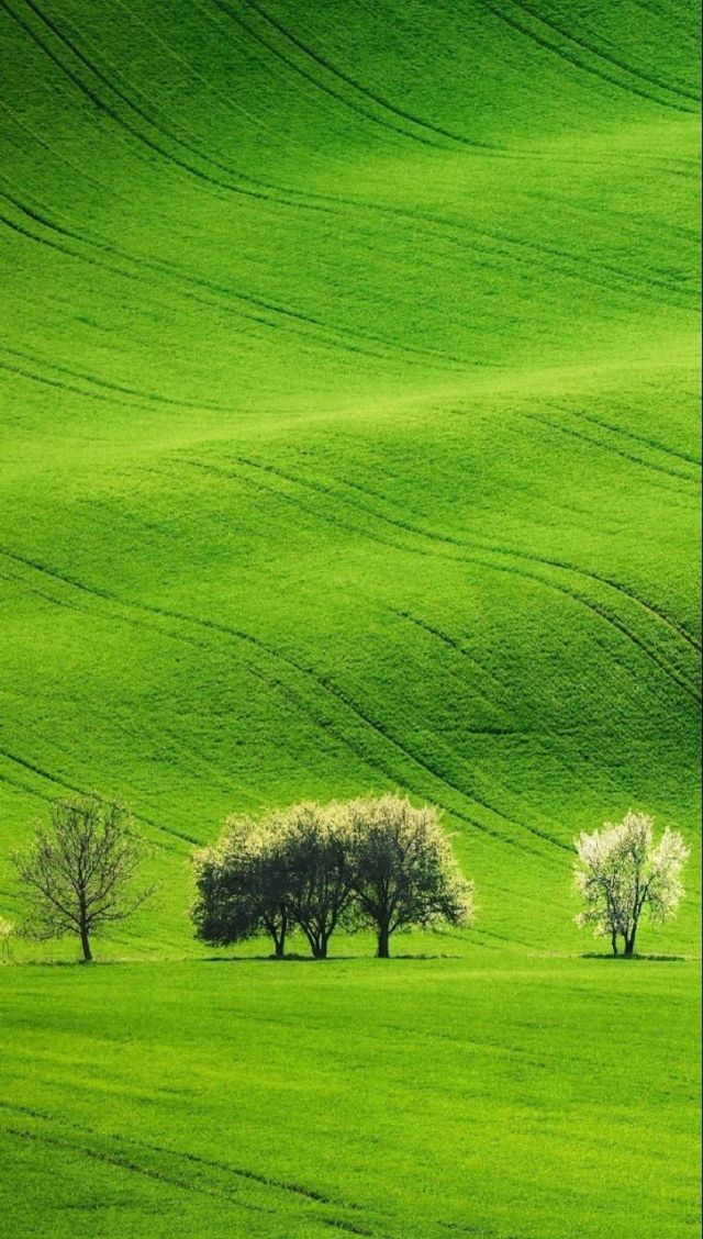 在线播放国产精品二区一二区四区 放国从电影到电视剧