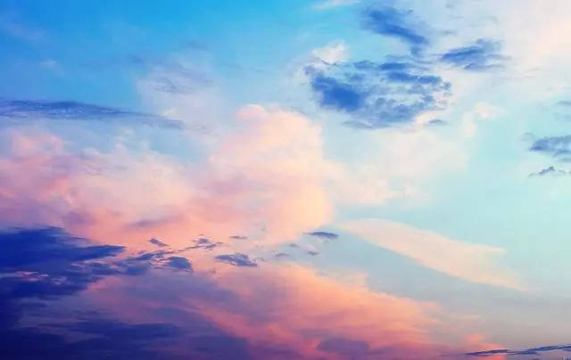 97久久精品无码一区二区天美