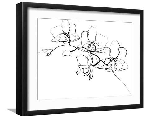 视频 最新 在B站或YouTube搜索后