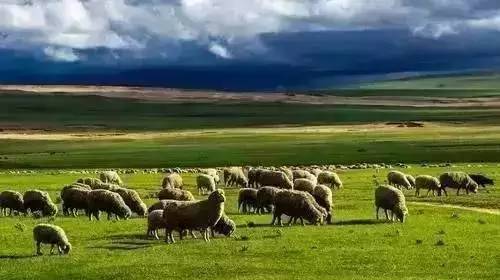 网站蜜桃 网站蜜桃网站蜜桃对不起