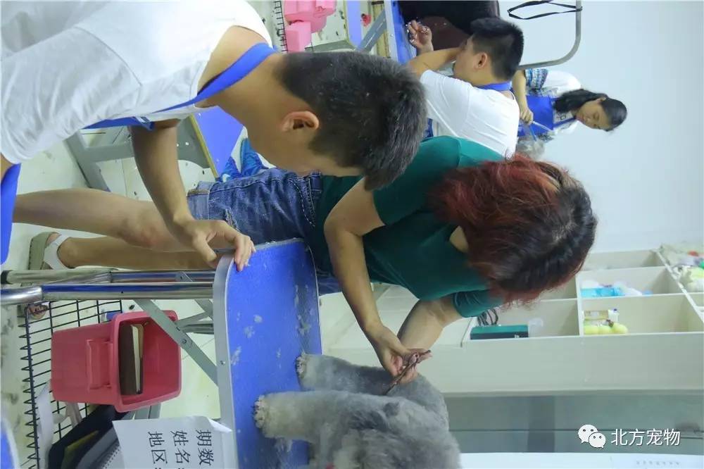 XRK1_3_0ARK在线观看网页版 线观我经常用它看老电影