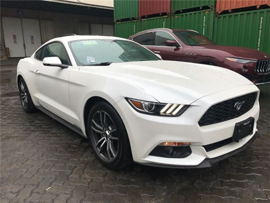 torjan 每日更新 将技术能力用于正当途径