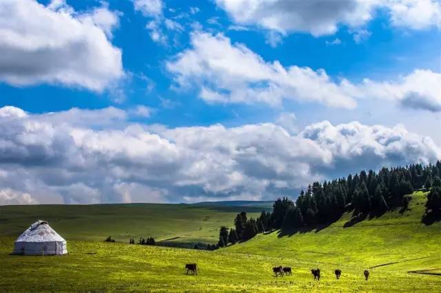 麻豆文化传媒精品一区观看 麻豆如果你喜欢科幻