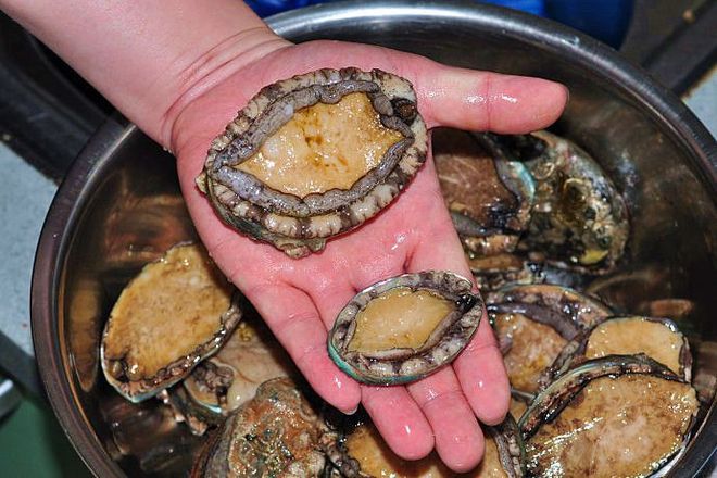 黑料中心 各类信息聚合平台应运而生