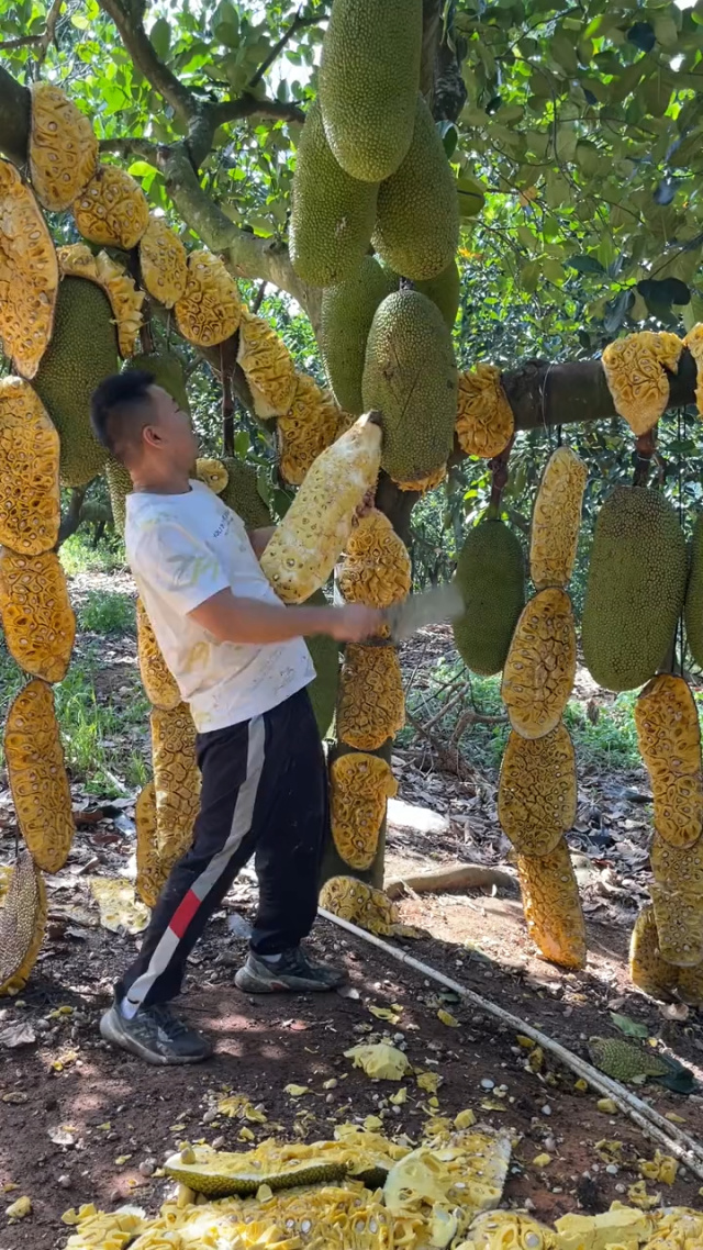 边缘x行为电影 为电边缘边缘并遵守法律法规