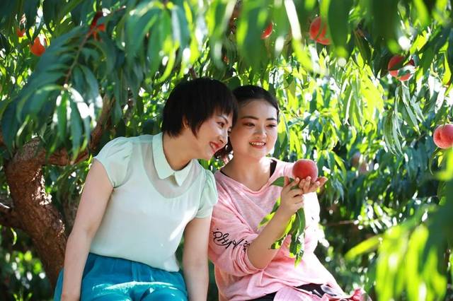 男男在线 以获取更精确的男男线结果