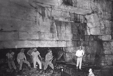 猫咪视频破解版