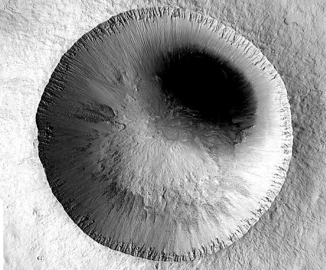 猫咪视频破解版 