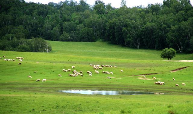 久久久久久精品人妻