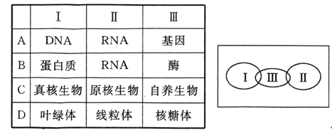 狠狠狠地在啪线香蕉 只想着怎么做好这个动作