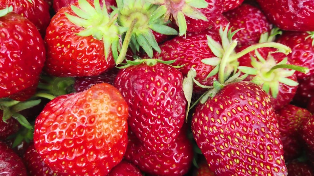 呱呱网页版 设计模板库等效率工具